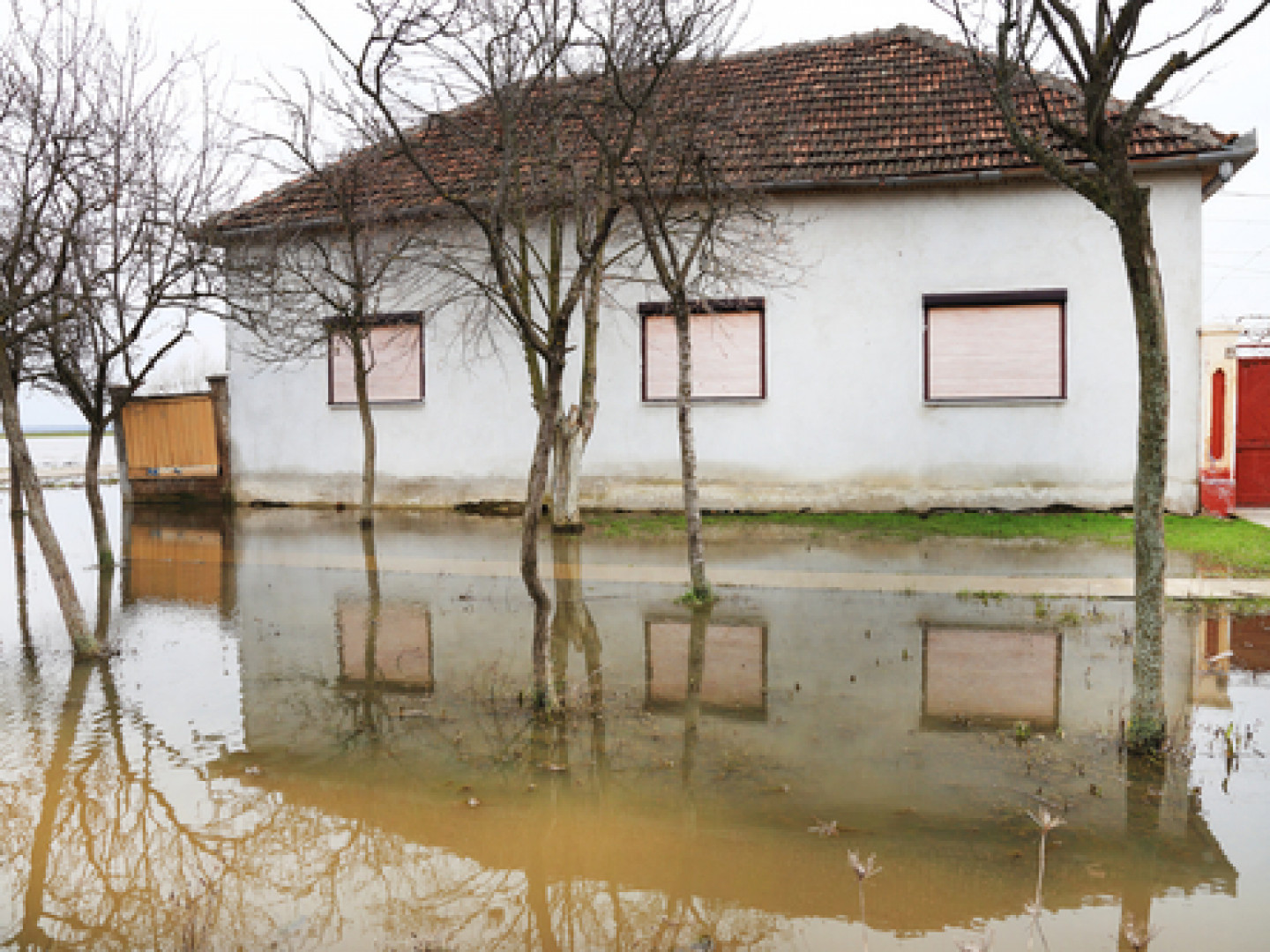 Structural Drying Xtreme Carpet Cleaning & Restoration