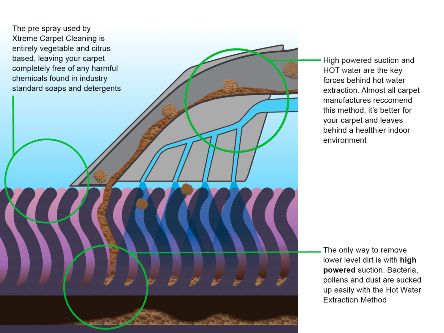 Carpet Cleaning Process Kalispell, MT