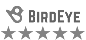 birdeye.png