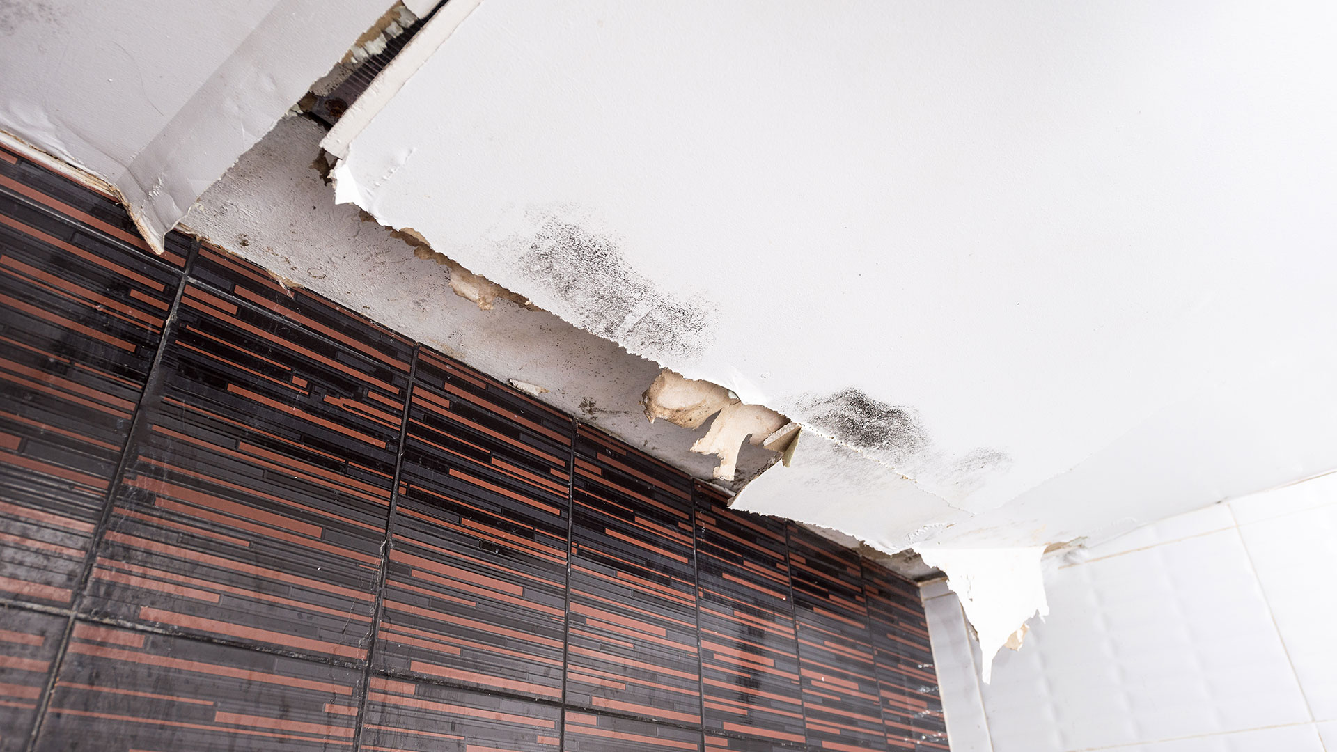 Water Damaged Ceiling and Structure in Home