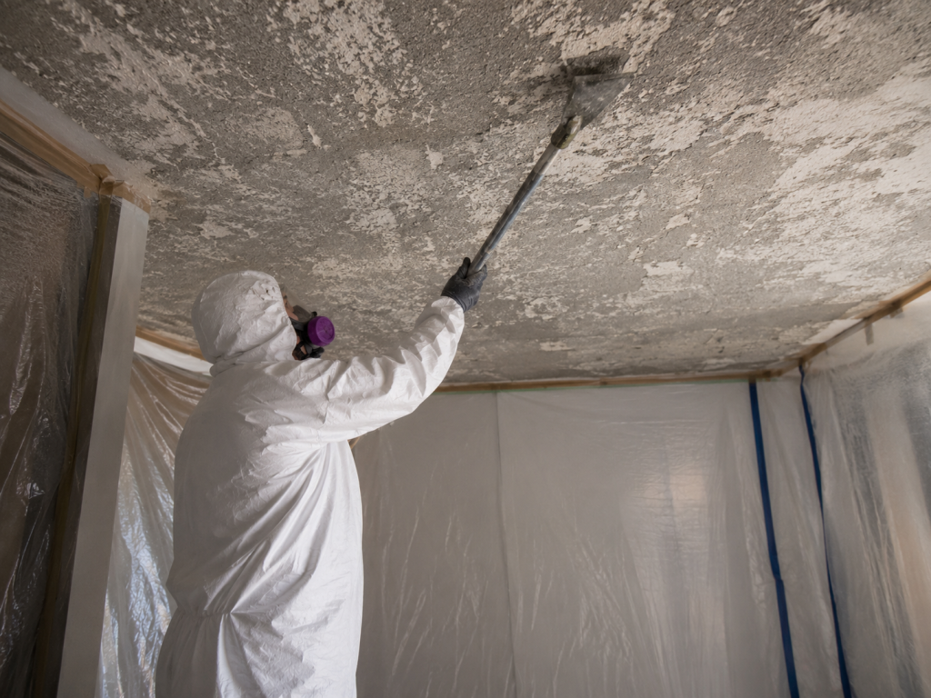 Asbestos Removal