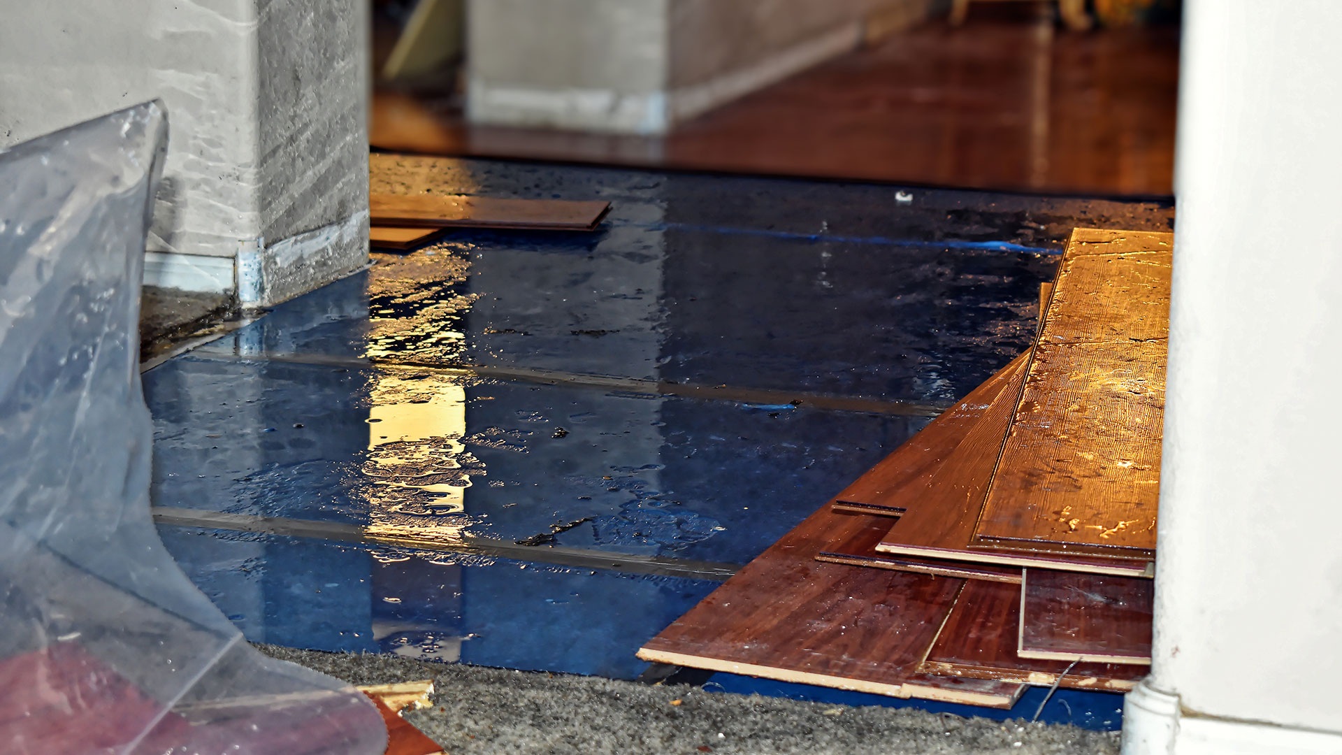 Water Damage in Homes
